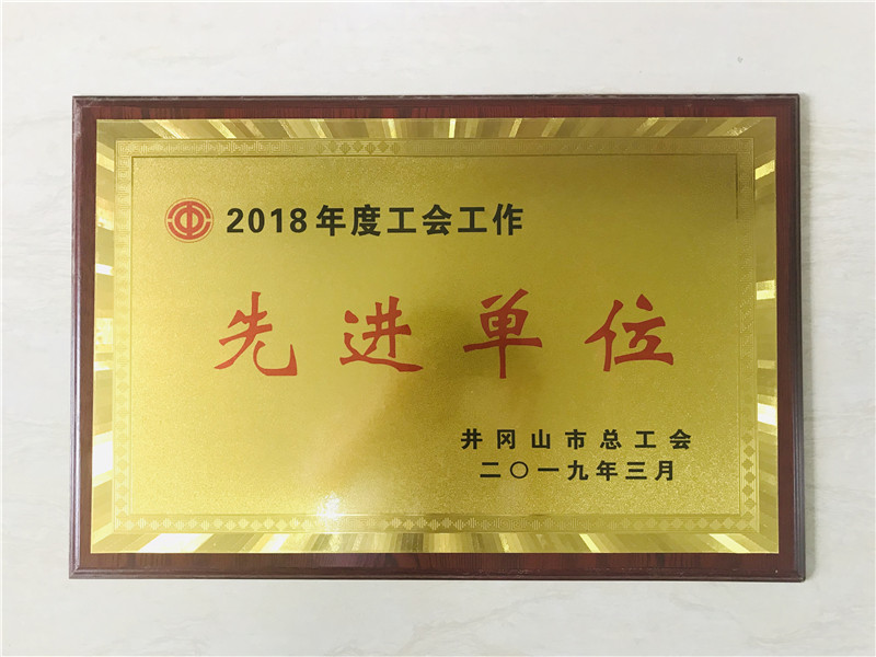 2019年3月，江西干部学院被井冈山市总工会评为2018年度工会工作先进单位.jpg